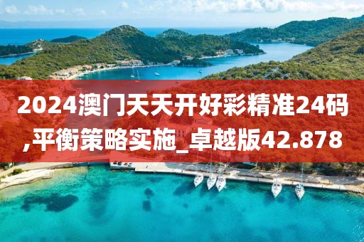 2024澳门天天开好彩精准24码,平衡策略实施_卓越版42.878