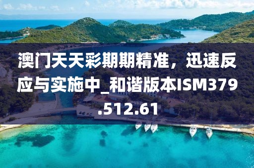 2024年11月 第65页