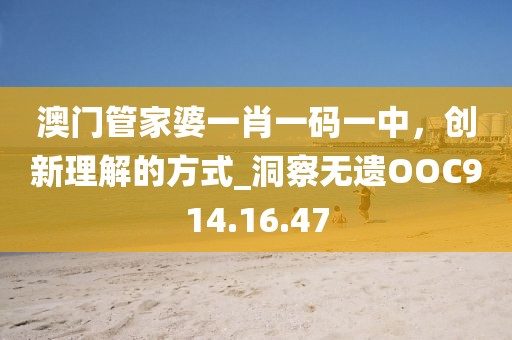 澳门管家婆一肖一码一中，创新理解的方式_洞察无遗OOC914.16.47