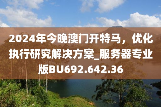 2024年今晚澳门开特马，优化执行研究解决方案_服务器专业版BU692.642.36