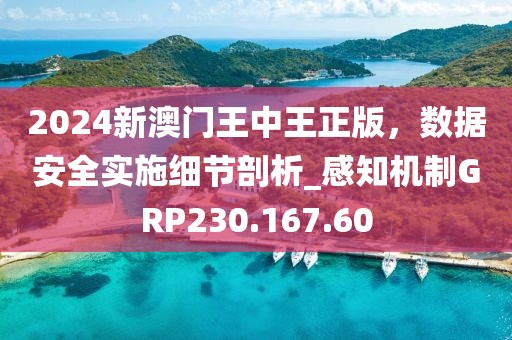 2024新澳门王中王正版，数据安全实施细节剖析_感知机制GRP230.167.60