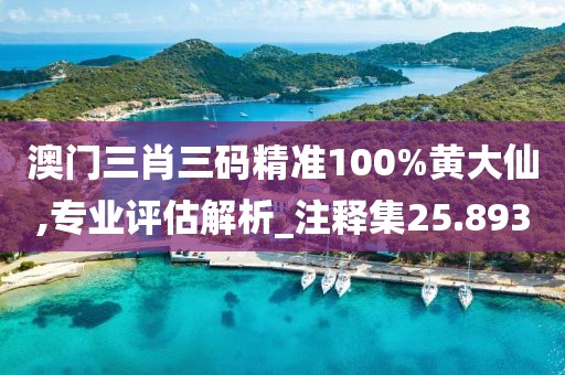 澳门三肖三码精准100%黄大仙,专业评估解析_注释集25.893