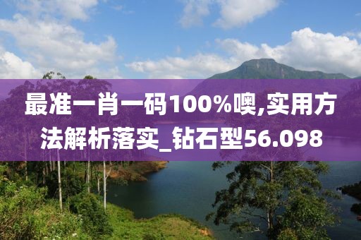 最准一肖一码100%噢,实用方法解析落实_钻石型56.098