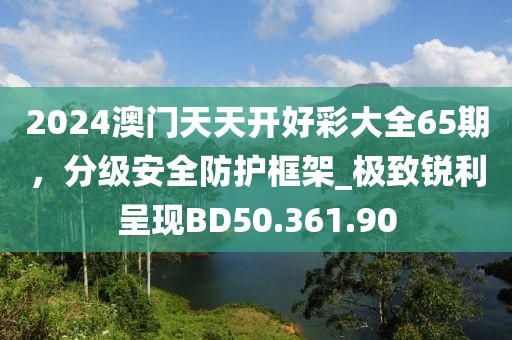 2024澳门天天开好彩大全65期，分级安全防护框架_极致锐利呈现BD50.361.90