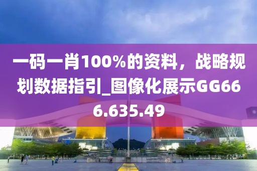 一码一肖100%的资料，战略规划数据指引_图像化展示GG666.635.49