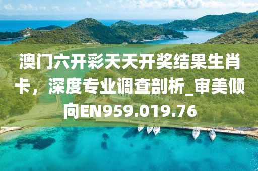 澳门六开彩天天开奖结果生肖卡，深度专业调查剖析_审美倾向EN959.019.76