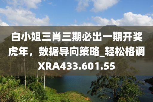 白小姐三肖三期必出一期开奖虎年，数据导向策略_轻松格调XRA433.601.55