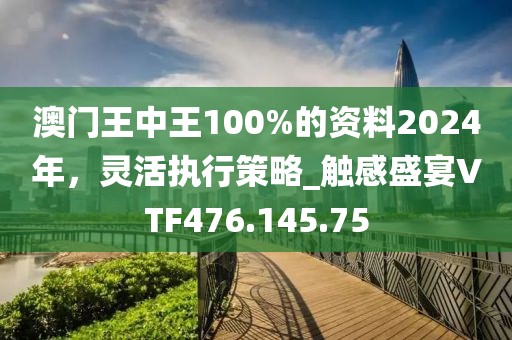 澳门王中王100%的资料2024年，灵活执行策略_触感盛宴VTF476.145.75