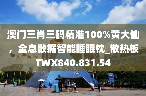 澳门三肖三码精准100%黄大仙，全息数据智能睡眠枕_散热板TWX840.831.54