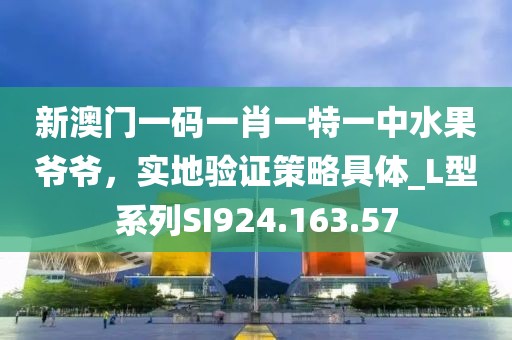 新澳门一码一肖一特一中水果爷爷，实地验证策略具体_L型系列SI924.163.57