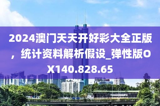 2024澳门天天开好彩大全正版，统计资料解析假设_弹性版OX140.828.65