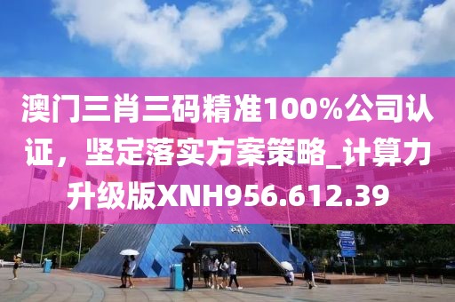 澳门三肖三码精准100%公司认证，坚定落实方案策略_计算力升级版XNH956.612.39