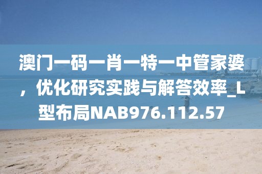 澳门一码一肖一特一中管家婆，优化研究实践与解答效率_L型布局NAB976.112.57