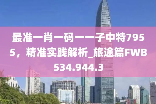 最准一肖一码一一子中特7955，精准实践解析_旅途篇FWB534.944.3