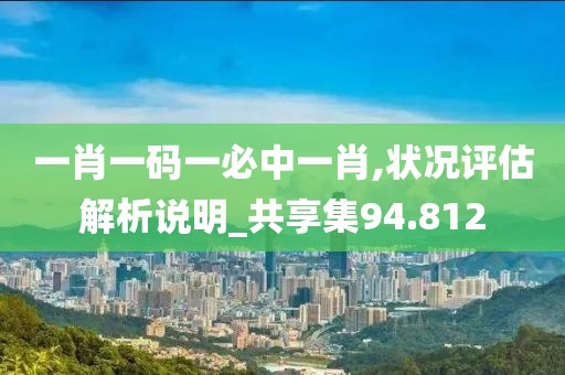 一肖一码一必中一肖,状况评估解析说明_共享集94.812