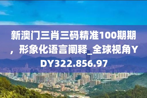 新澳门三肖三码精准100期期，形象化语言阐释_全球视角YDY322.856.97