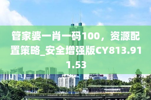 管家婆一肖一码100，资源配置策略_安全增强版CY813.911.53