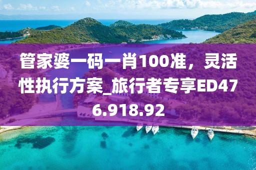 管家婆一码一肖100准，灵活性执行方案_旅行者专享ED476.918.92