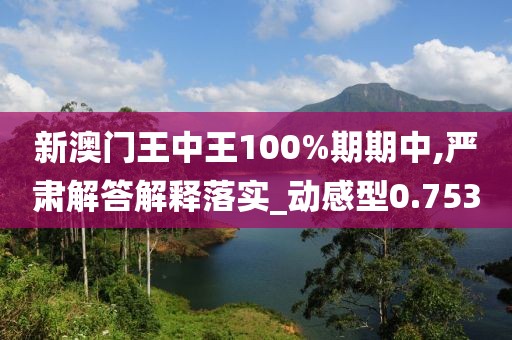 新澳门王中王100%期期中,严肃解答解释落实_动感型0.753
