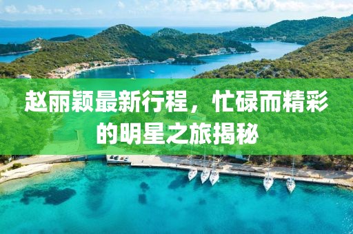 心澳门正版资料 第109页