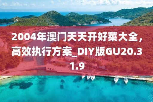 2004年澳门天天开好菜大全，高效执行方案_DIY版GU20.31.9