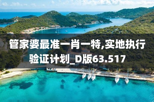 管家婆最准一肖一特,实地执行验证计划_D版63.517