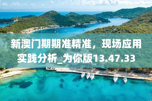 新澳门期期准精准，现场应用实践分析_为你版13.47.33