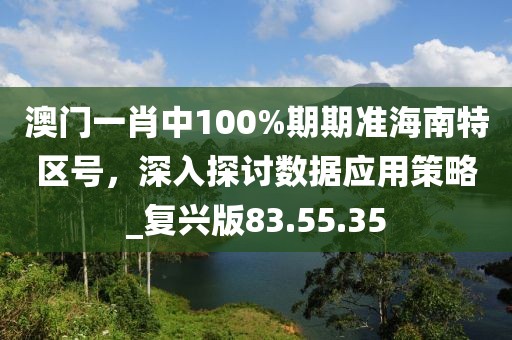 澳门一肖中100%期期准海南特区号，深入探讨数据应用策略_复兴版83.55.35