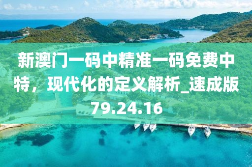 新澳门一码中精准一码免费中特，现代化的定义解析_速成版79.24.16