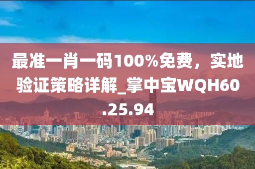 最准一肖一码100%免费，实地验证策略详解_掌中宝WQH60.25.94