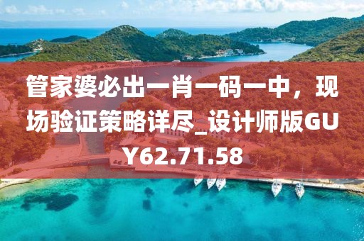 管家婆必出一肖一码一中，现场验证策略详尽_设计师版GUY62.71.58