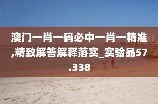 澳门一肖一码必中一肖一精准,精致解答解释落实_实验品57.338