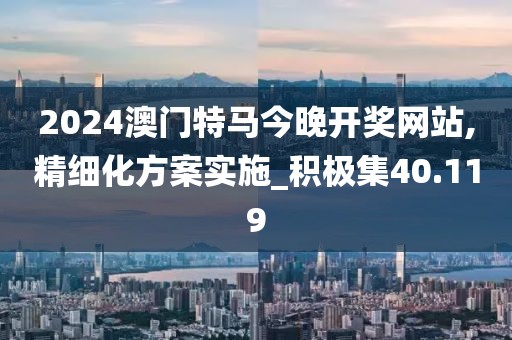 2024澳门特马今晚开奖网站,精细化方案实施_积极集40.119