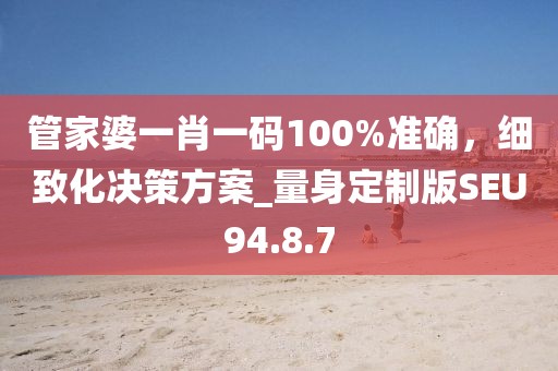 管家婆一肖一码100%准确，细致化决策方案_量身定制版SEU94.8.7