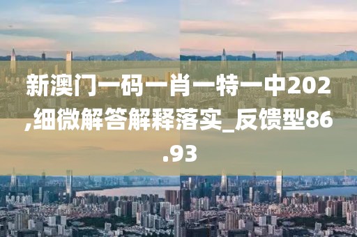 新澳门一码一肖一特一中202,细微解答解释落实_反馈型86.93