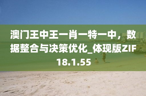 澳门王中王一肖一特一中，数据整合与决策优化_体现版ZIF18.1.55