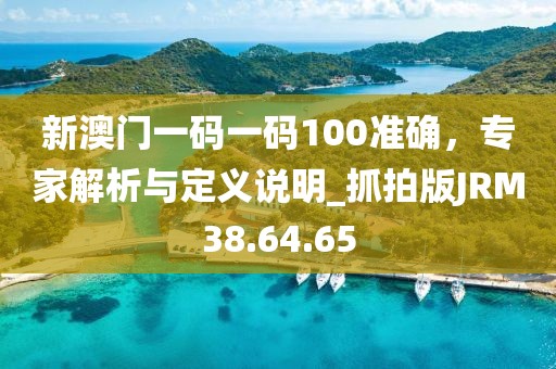 新澳门一码一码100准确，专家解析与定义说明_抓拍版JRM38.64.65