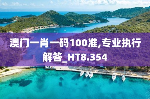 澳门一肖一码100准,专业执行解答_HT8.354