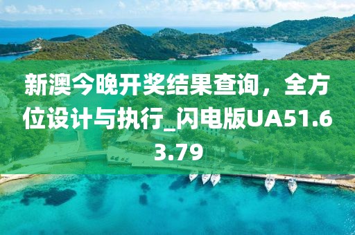 新澳今晚开奖结果查询，全方位设计与执行_闪电版UA51.63.79