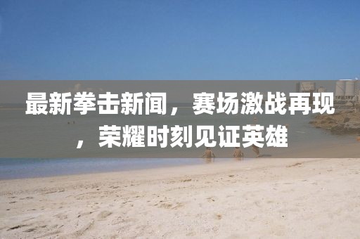 最新拳击新闻，赛场激战再现，荣耀时刻见证英雄