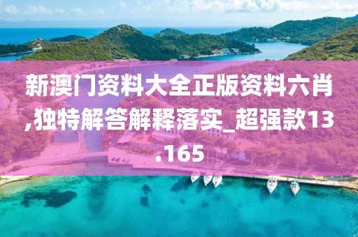 新澳门资料大全正版资料六肖,独特解答解释落实_超强款13.165