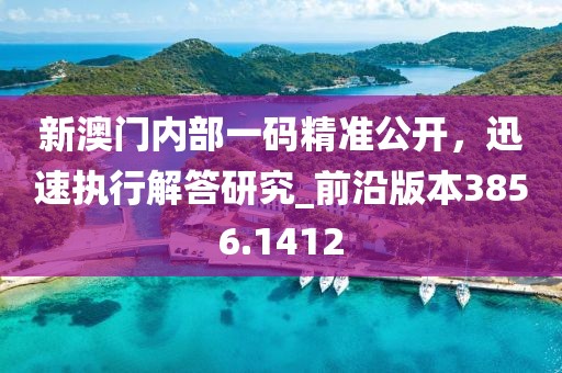 新澳门内部一码精准公开，迅速执行解答研究_前沿版本3856.1412