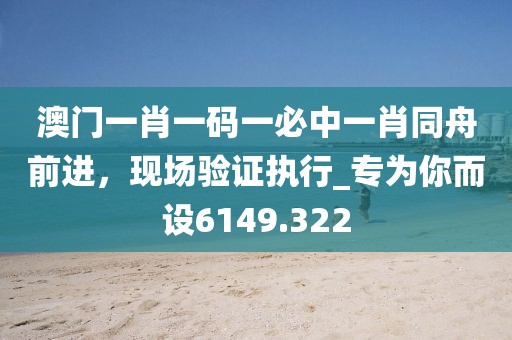 澳门一肖一码一必中一肖同舟前进，现场验证执行_专为你而设6149.322