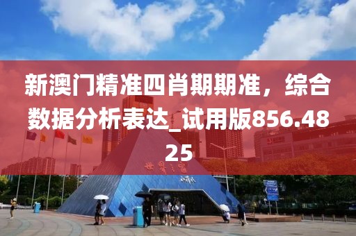 新澳门精准四肖期期准，综合数据分析表达_试用版856.4825