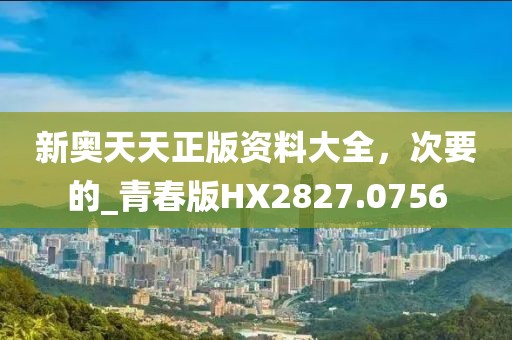 新奥天天正版资料大全，次要的_青春版HX2827.0756
