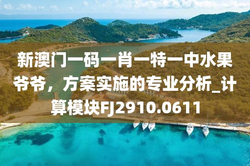 新澳门一码一肖一特一中水果爷爷，方案实施的专业分析_计算模块FJ2910.0611