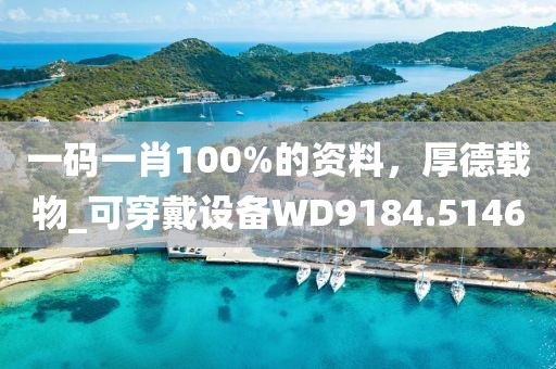 一码一肖100%的资料，厚德载物_可穿戴设备WD9184.5146