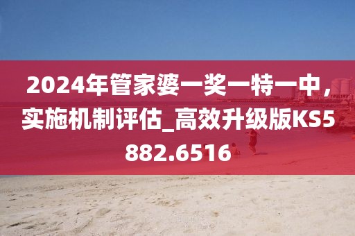 2024年管家婆一奖一特一中，实施机制评估_高效升级版KS5882.6516