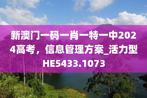 新澳门一码一肖一特一中2024高考，信息管理方案_活力型HE5433.1073