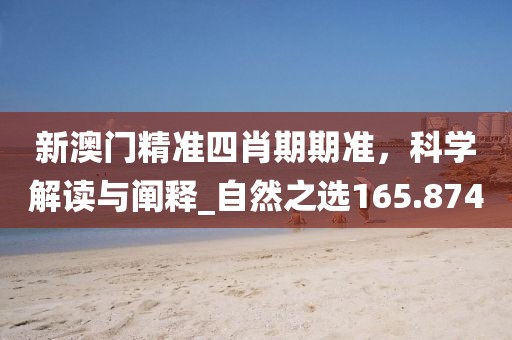 2024年12月2日 第31页